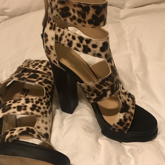 Platform - Picture 3 of 5